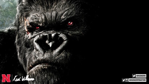 150310---Coach-Williams---Gorilla-3