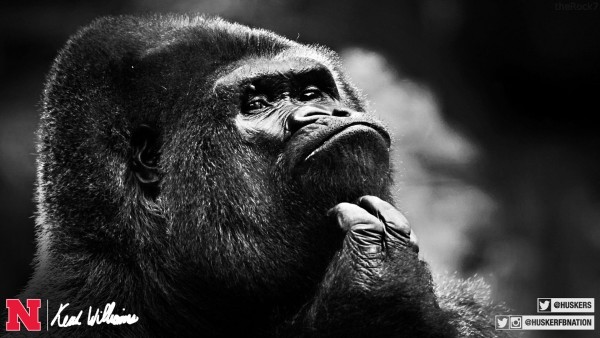 150310---Coach-Williams---Gorilla-4