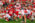 FB vs Indiana SB 0980 35x23 - Sports & Action